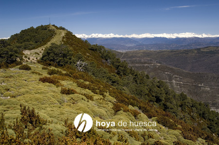 Senderos de la Hoya de Huesca